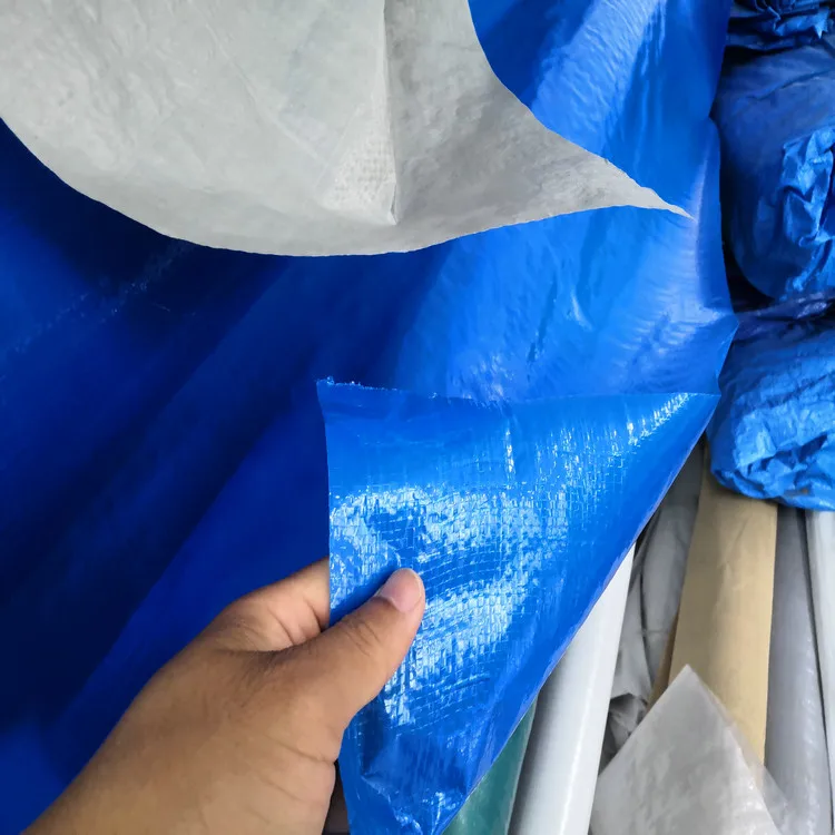 Plastic Waterproof PVC Tarpaulin LDPE HDPE Geomembranes Pond Liner For Aquaculture Fish Tank Farming Equipment