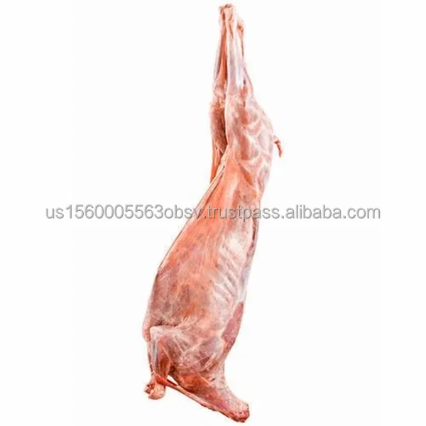 Frozen beef carcass wholesale prices Best beef carcass prices
