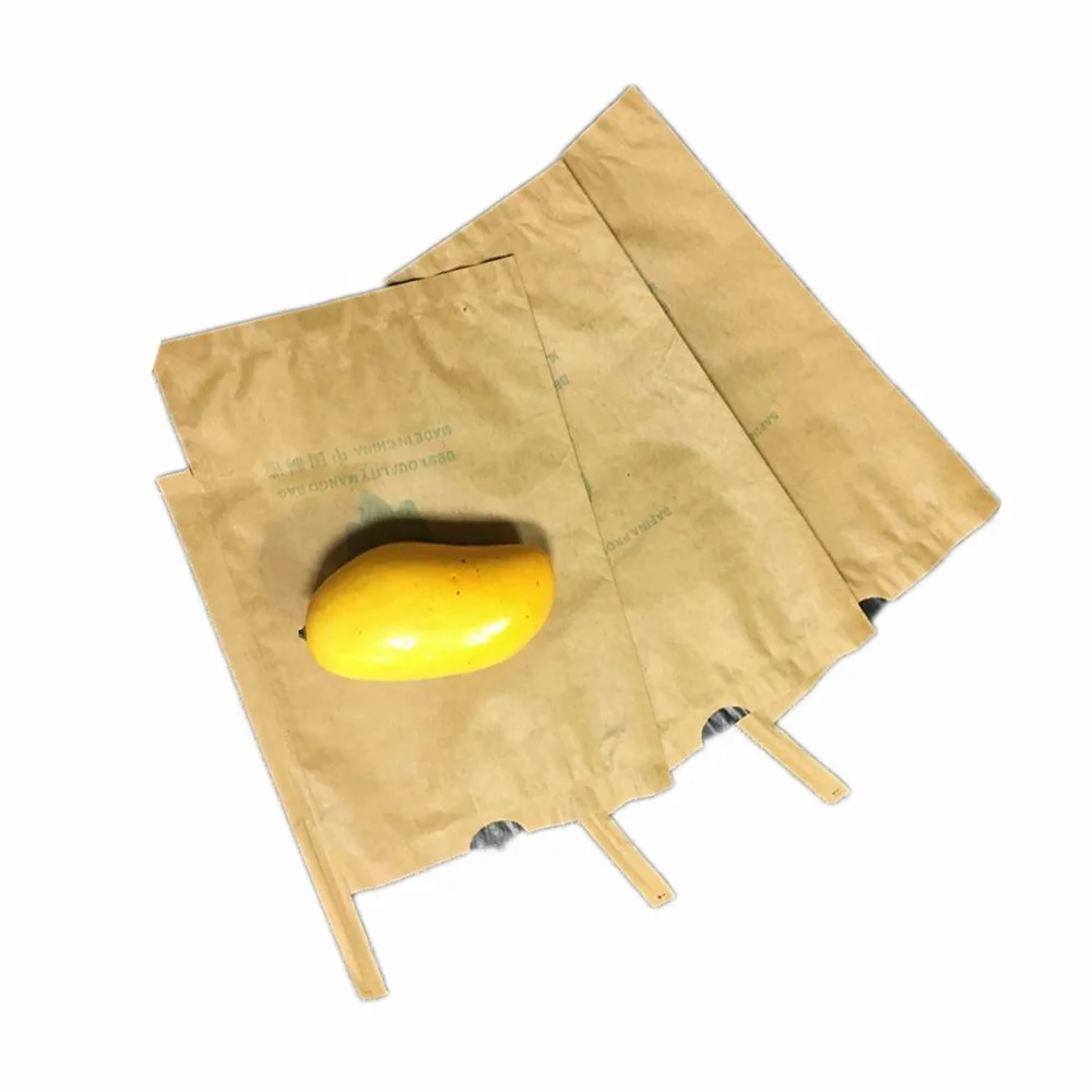 Mango Fruit Bagging Fruit Bag Mango in Bangladesh