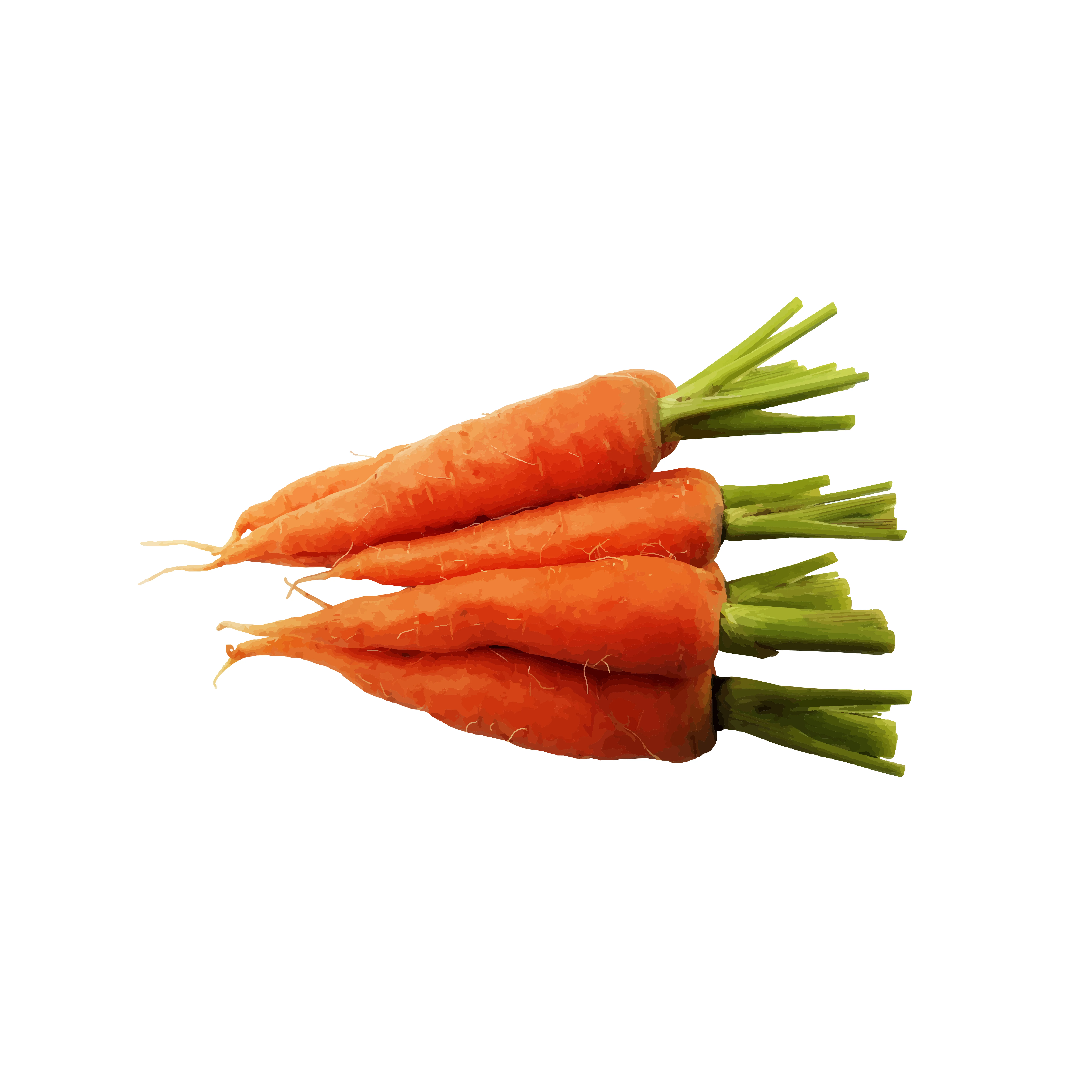 Frozen Carrots - Available Customized Package Non-GMO Freeze Carrots for Cooking and Drinking from Viet Nam wholesale