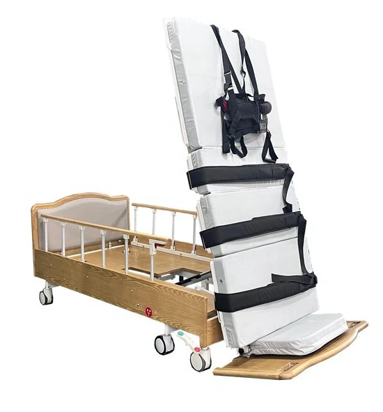 China supplier hot sale multifunction electric vertical bed back care bed with hand control
