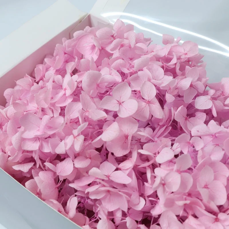 Hot Selling Manufacture Natural Preserved Flower Dried Flowers Hydrangea with best Price for Home Wedding Decor white hydrangea
