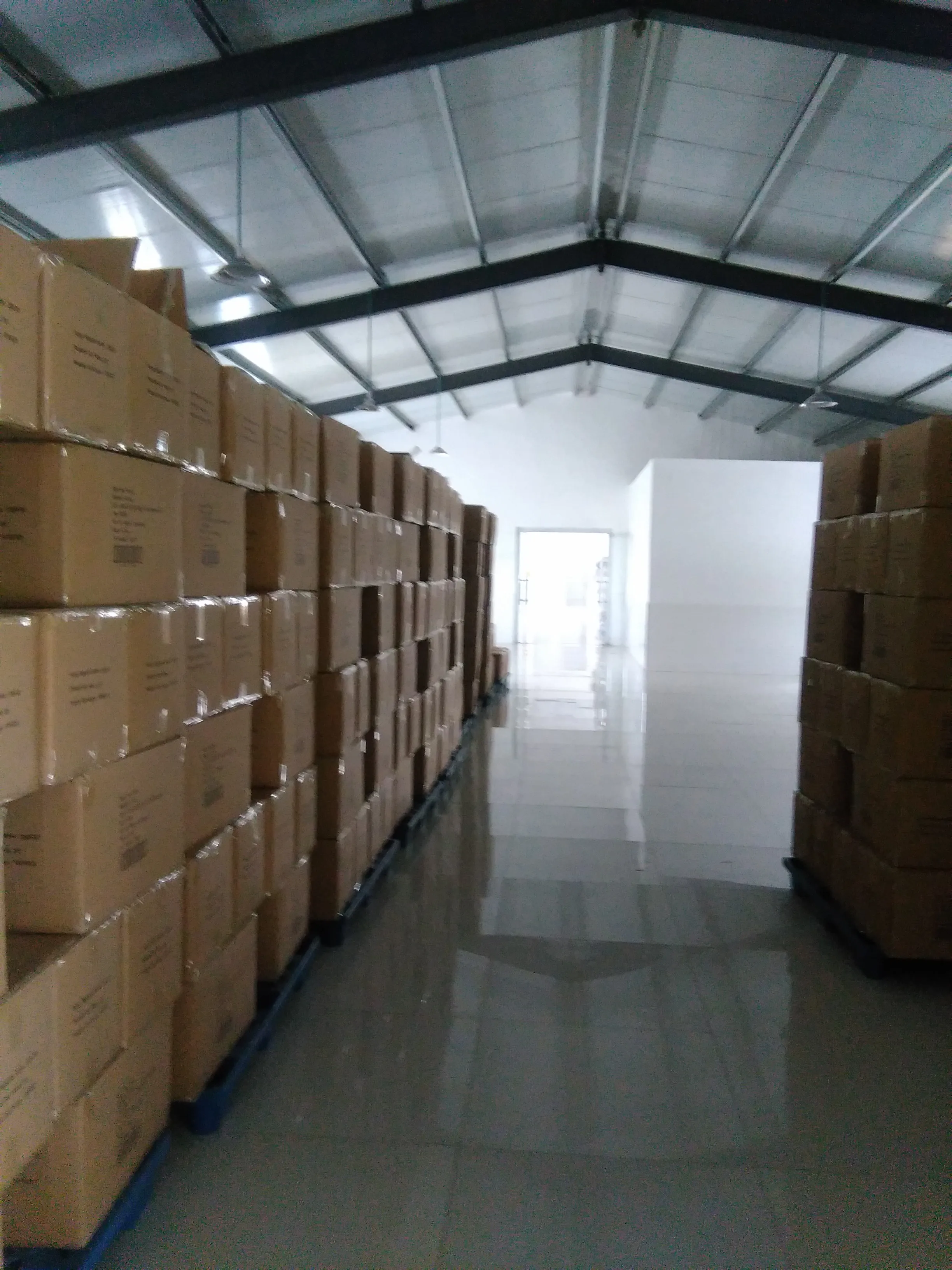 Wholesale natural nourishing harmless frozen dried Blood Worm