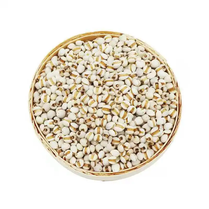 High quality Natural Coix Seed Best Grade Good Chinese Pearl Barley (1600341138316)