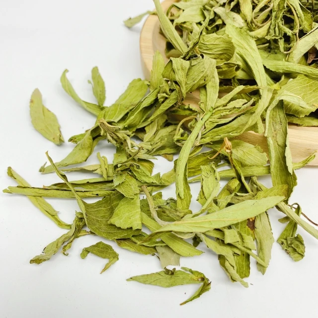 High Quantity Wholesale Herbal Tea Dried Stevia Rebaudiana Leaf Chinese Herb