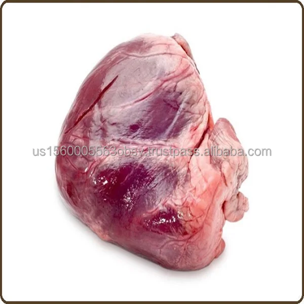 Frozen lamb heart for sale Quality lamb heart online