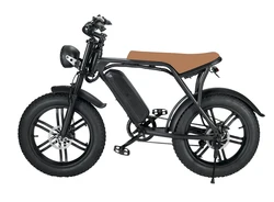 Hot selling fattire ebike 20inch fat tire mountain bike 1000w powerful motorcycle electric with double seat bicycle electric
