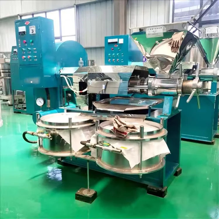 Fully automatic nut peanut oil press Cocoa Beans Appliances Extraction Peanut Production Press Oil
