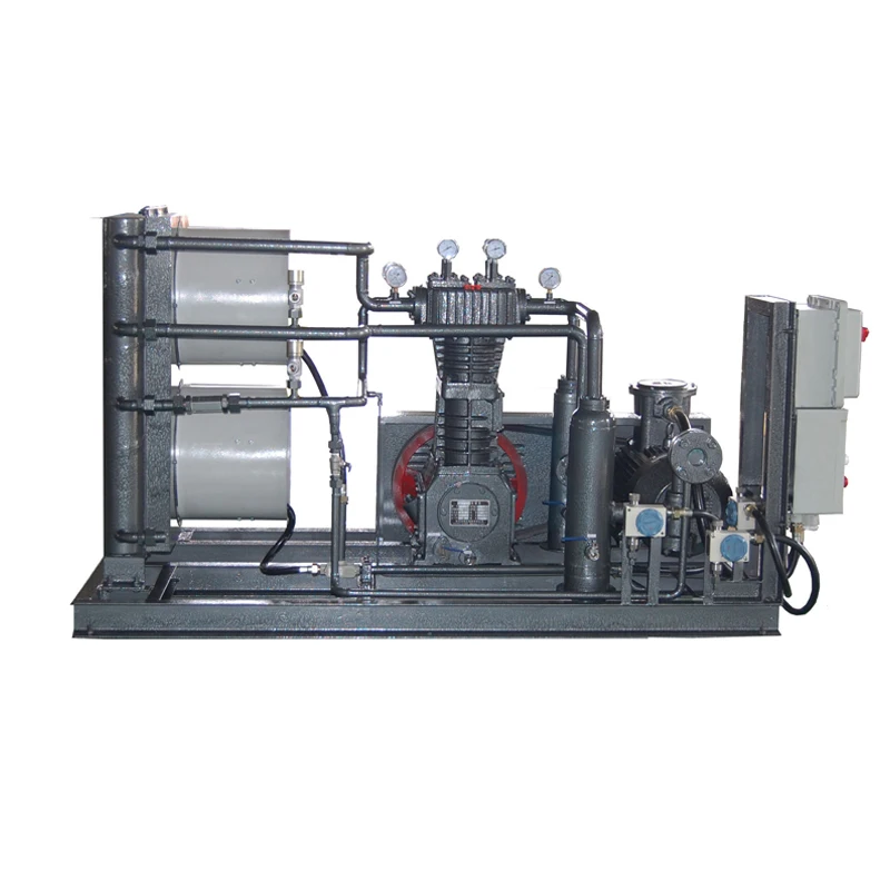 Manufacturer Custom Gas Compressor Biogas to Cng Convator Machine Biogas Digester Compression for Biogas Transmission