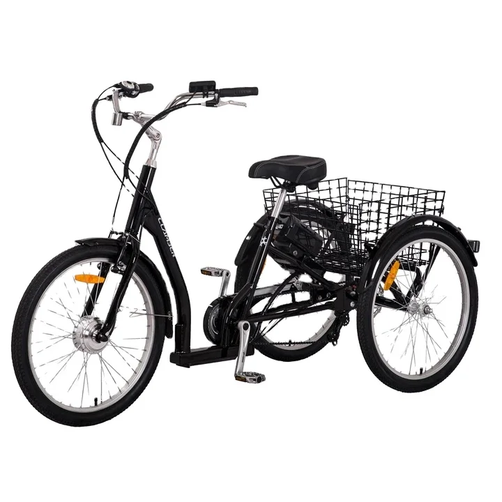 electric tricycle handicaped-adult/electric tricycle open 48v tricycle/electric tricycle sri lanka tricycle for traveling