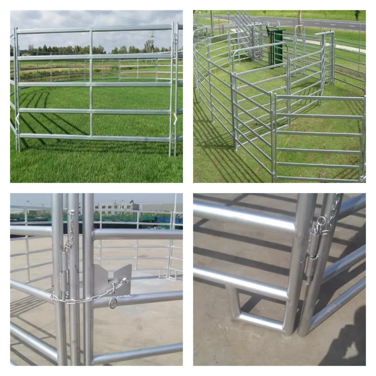 cattle fence.jpg