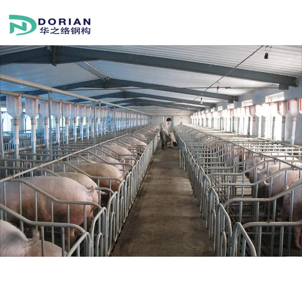 Easy Build Steel Structure Prefabricated Pig Breeding Farm Livestock Building House