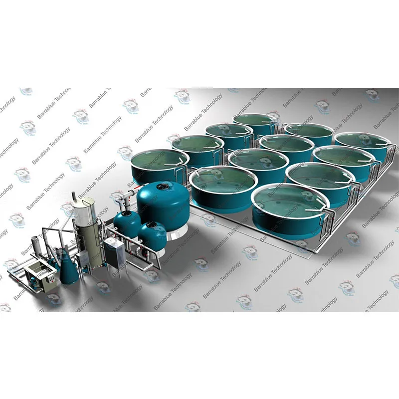 Recirculating Aquaculture RAS System Ras Fish Farm Filter System