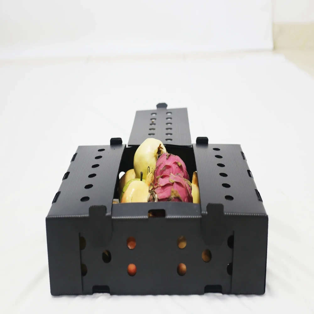 custom polypropylene sweet corrugated corn plastic boxes