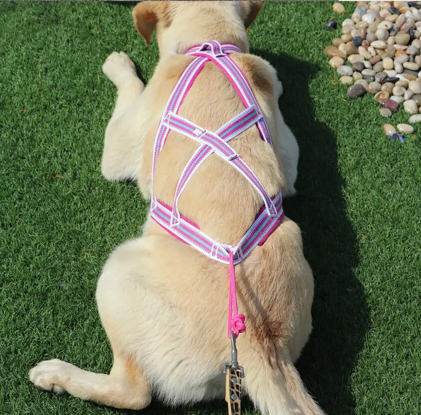 Pet Sled Harness Dog Pulling Harness Mushing X Back Harness for Dog Training Working Exercise Sledding skijoring Scootering