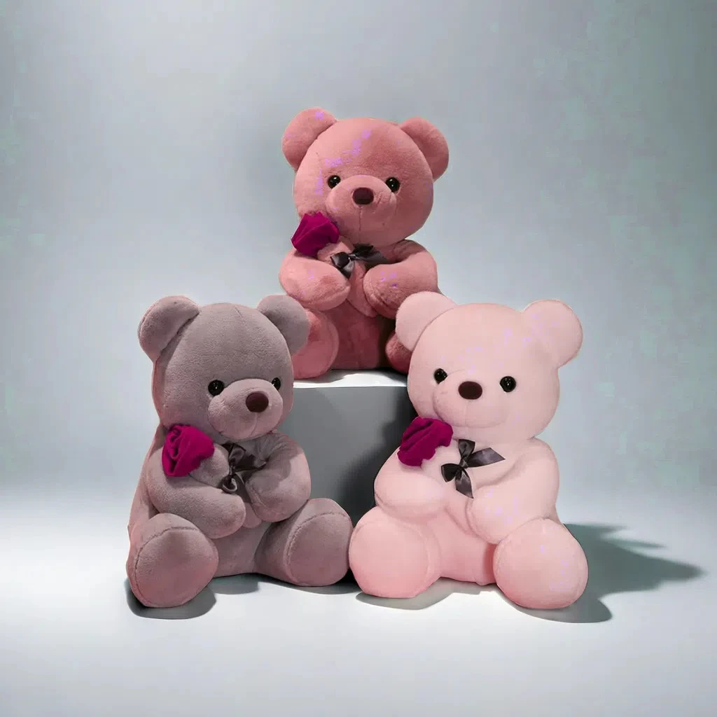 High Quality 3 Colors Teddy Bear With Hoodies Stuffed Bear Plush Toys Doll Custom Make Plush Teddy Bear Toy With T shirt