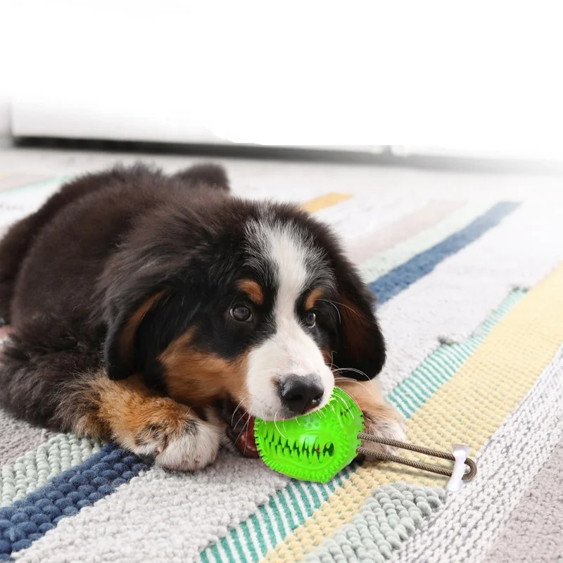 Wellfine Indestructible Rubber Treat Dispensing Ultra Ball Hiding Food Pet Rope Ball Sounding Dog Chew Toy