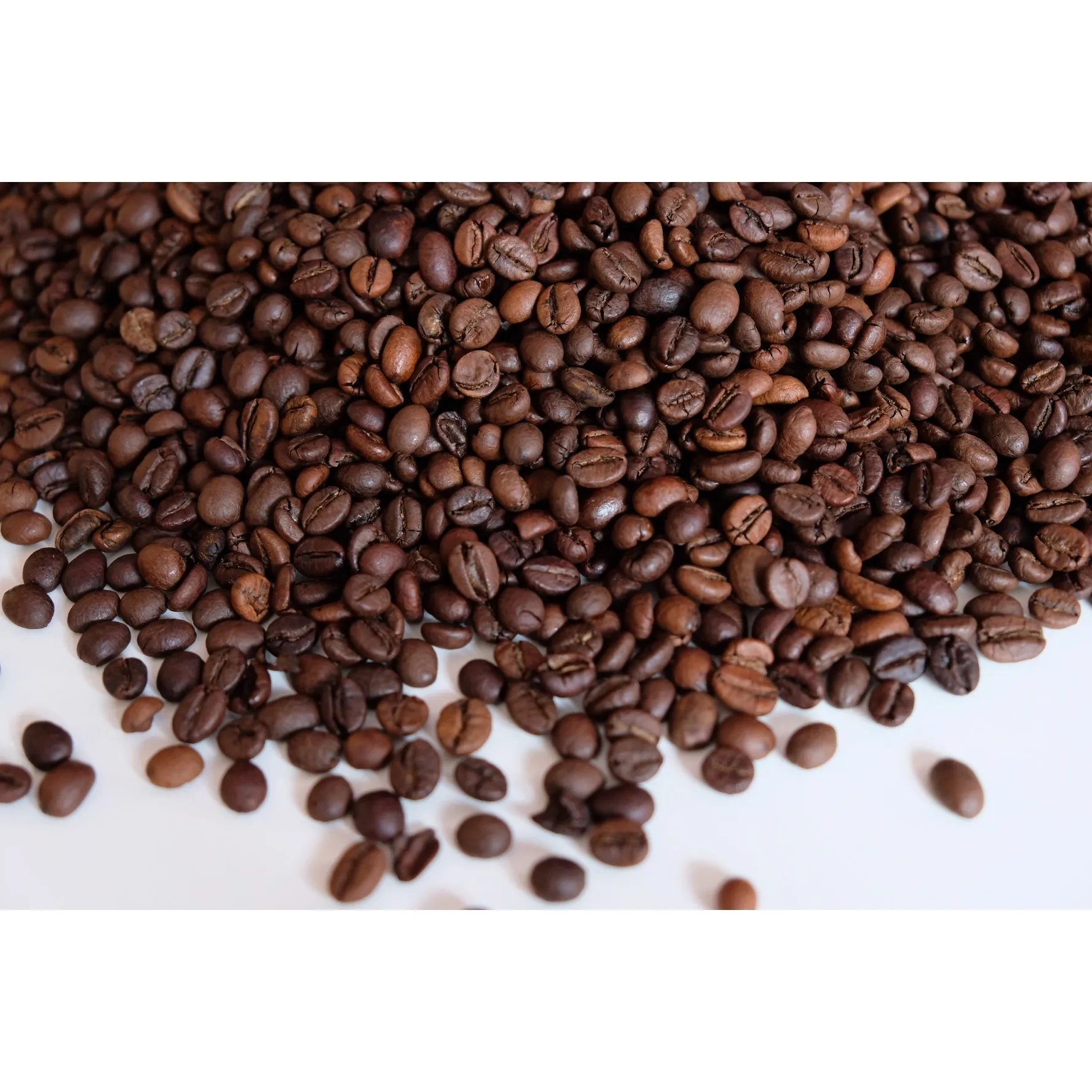 Made in Vietnam Robusta S16 Roasted Carpentry Coffee Beans Cafe Medium Roasted Robusta Beans High Quality Robusta Beans Roasted