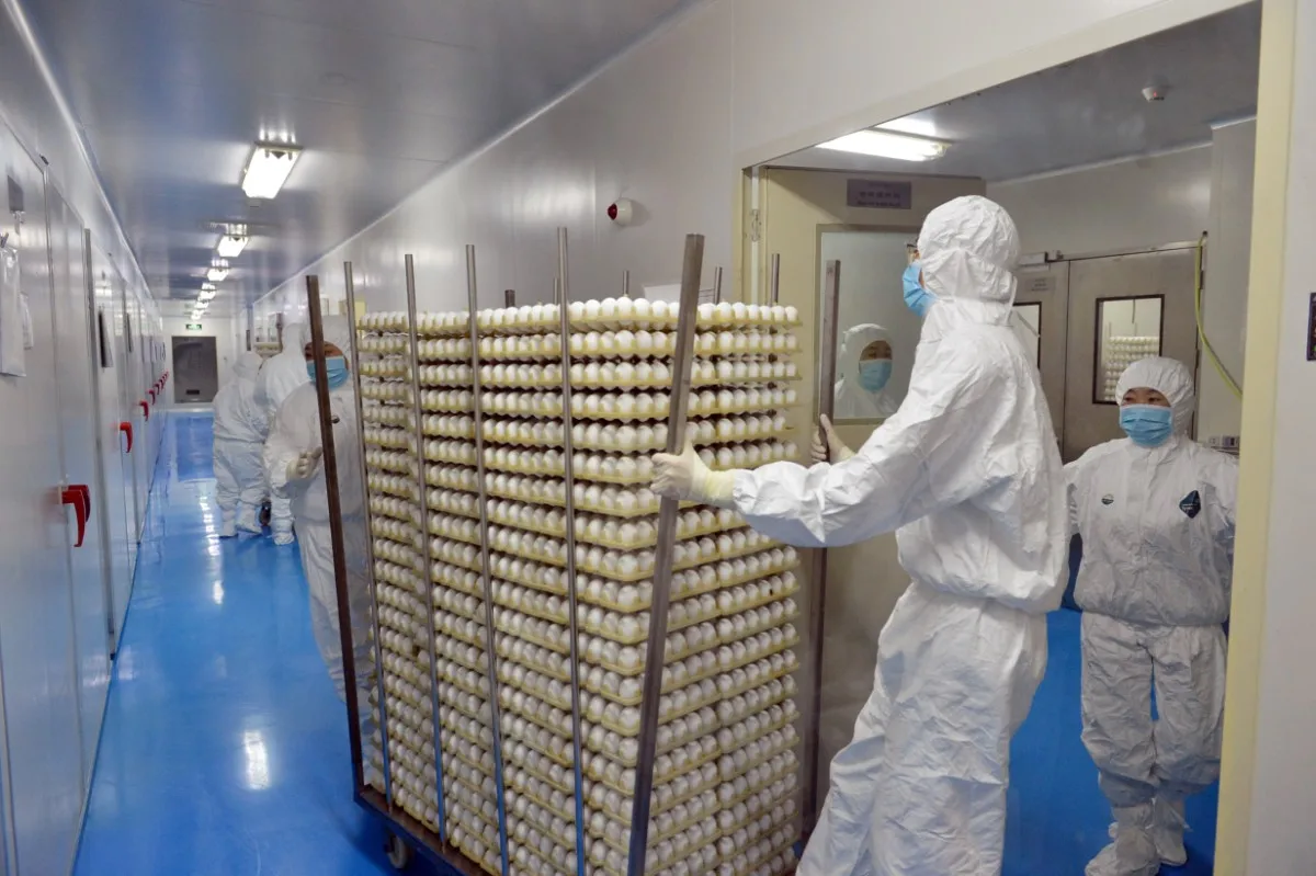 Fully Automatic incubator egg hatching machine 220v 150w