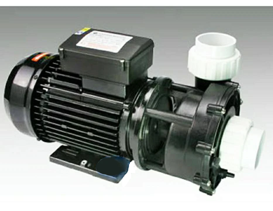 Bathtub hydrotherapy SPA water pump for family