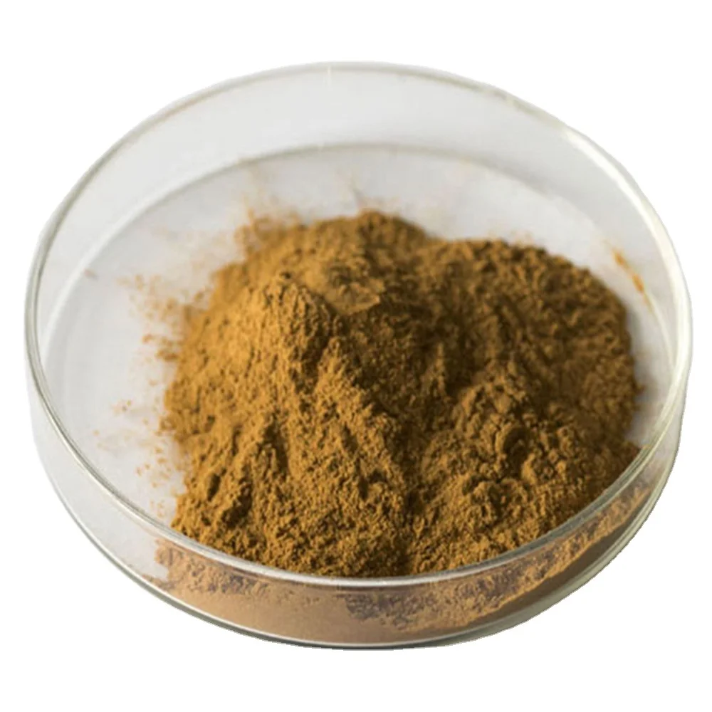 High Quality 1% Cistanche Tubulosa Extract 16% Acteoside CAS 61276-17-3