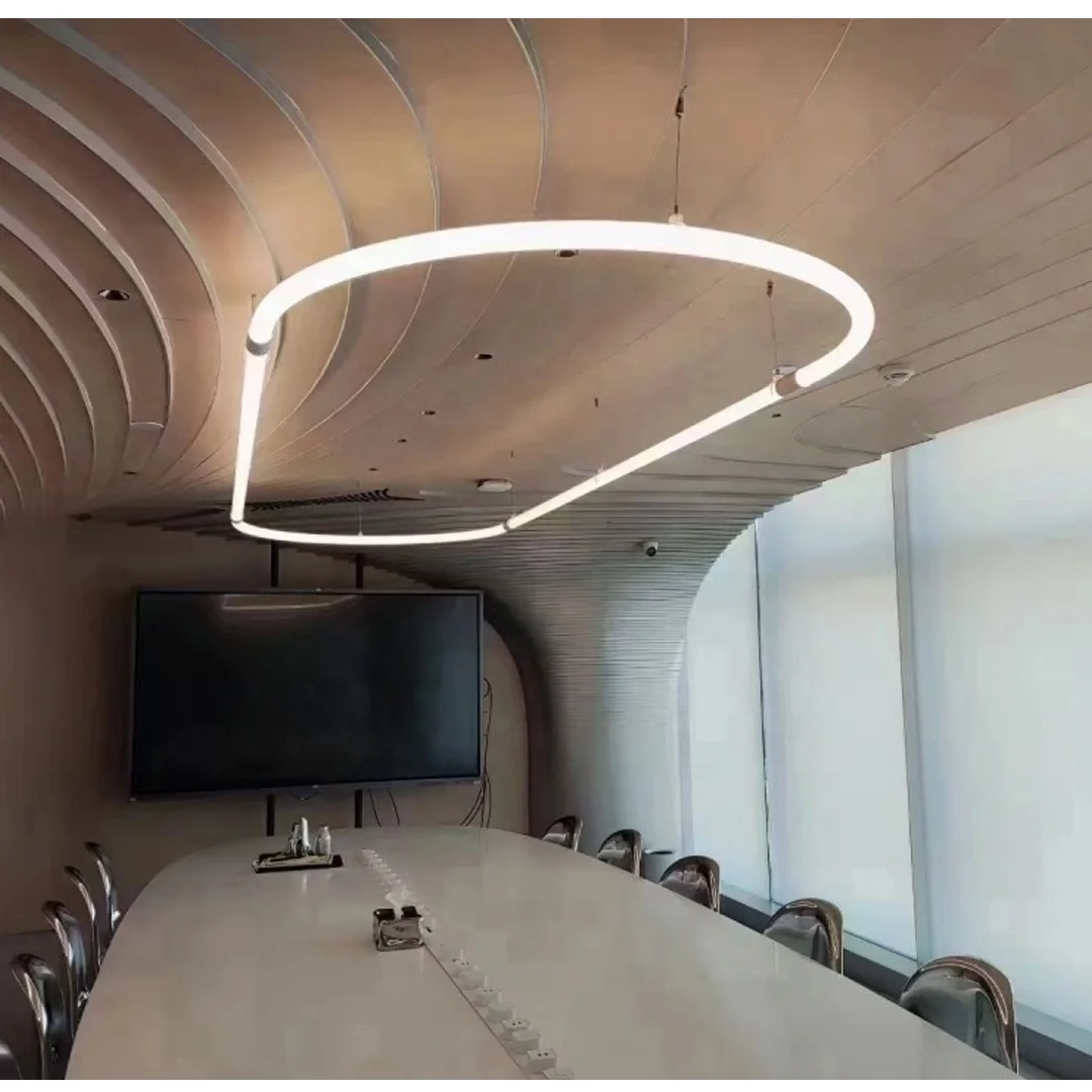 360Degree Modern Neon LED Linear Chandelier Fixture Red Green Blue Warm White IP67 for Kitchen Dining Bedroom Office Outdoor Use