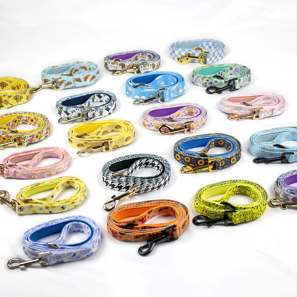 Adorable metal hardware dog leash lead ready to ship low moq durable soft padded handle pet leashes accessories