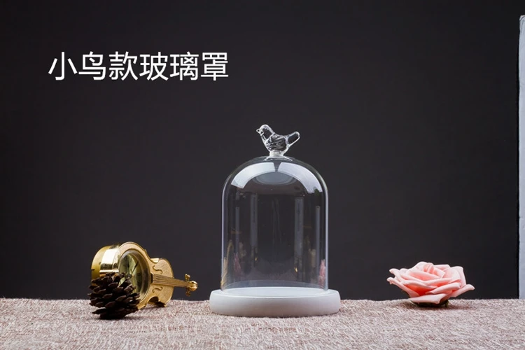 Beauty and the beast glass dome cover with copper string lights / cloche