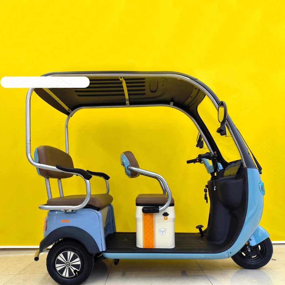 Wholesale 800W 3 Wheel Electric Tricycle Bike Family Use E Trike Electric Tricycle With Cover