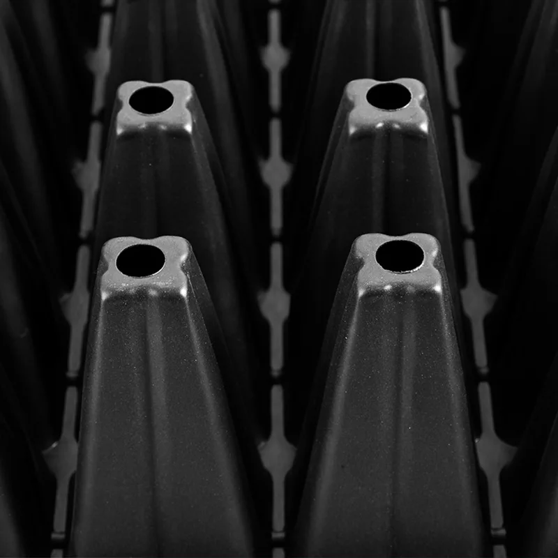 Hot selling watermelon, lemon, and mango seeds cultivation, growth, and blister tray