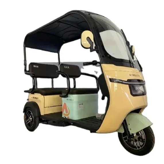 Большой мощный Электрический трехколесный велосипед E Rickshaw трехколесный велосипед для взрослых другие трехколесные велосипеды для пассажиров