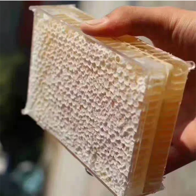 Beekeeping Tool 500g Plastic Honey Comb Box with Wax Foundation Sheet Cassette Honeycomb Box
