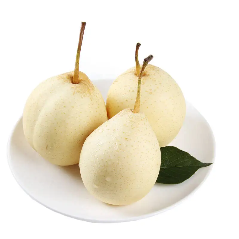 Fresh fruit exporters of chinese pear with food grade ISO and HACCP