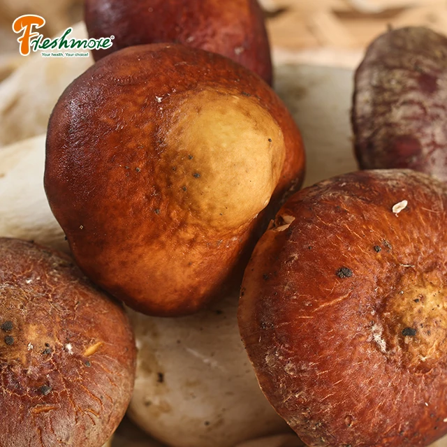 China Finc butan fresh Matsutake pine rare edible mushroom well price