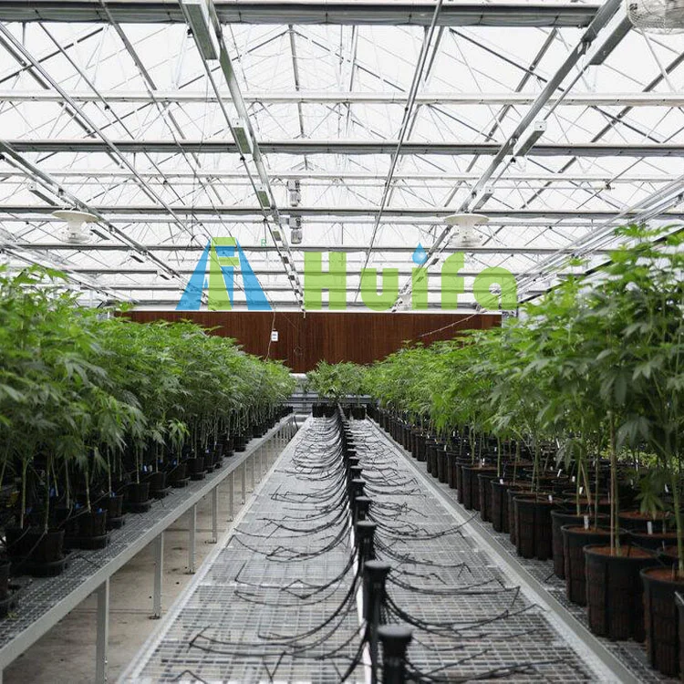 Huifa Commercial Greenhouse Flood Tables Single Tier Grow Rolling Bench Flood And Drain Table