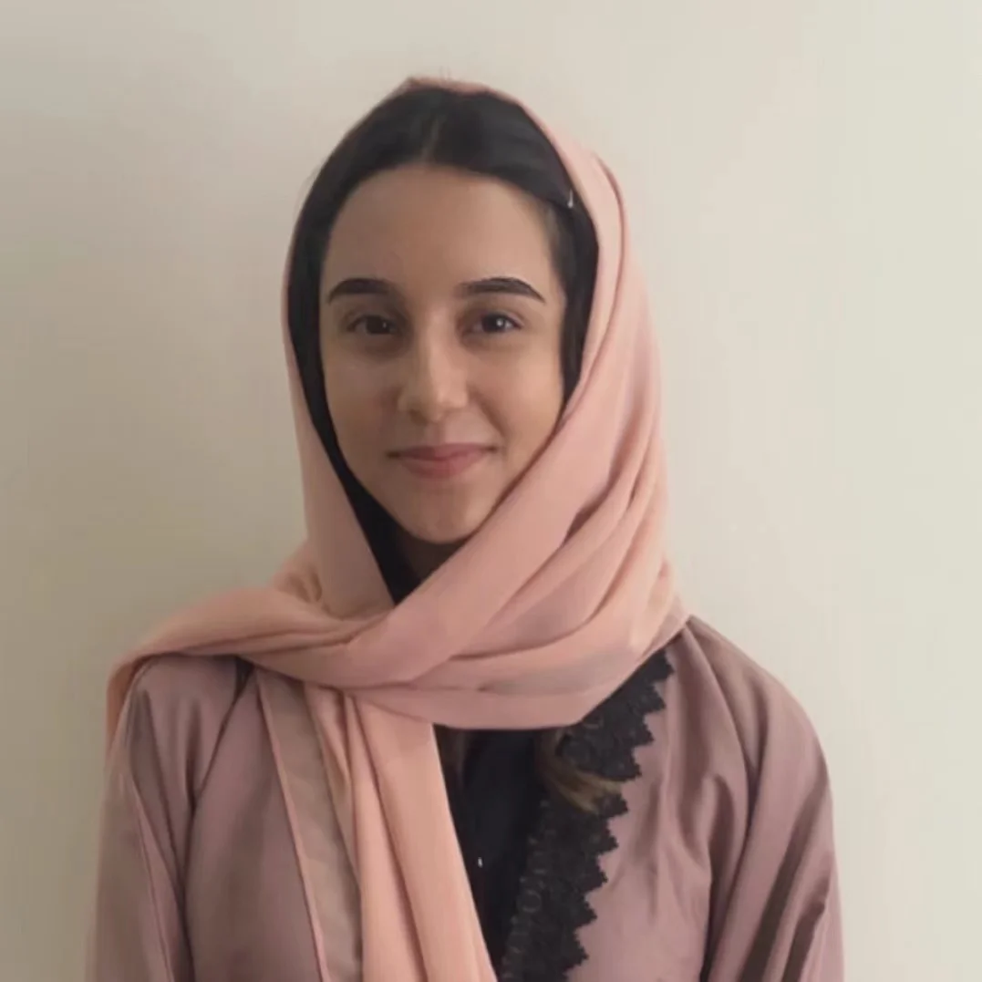 chiffon custom wholesale hijab muslim plain head scarf for women vendor fashion ethnic scarves shawls