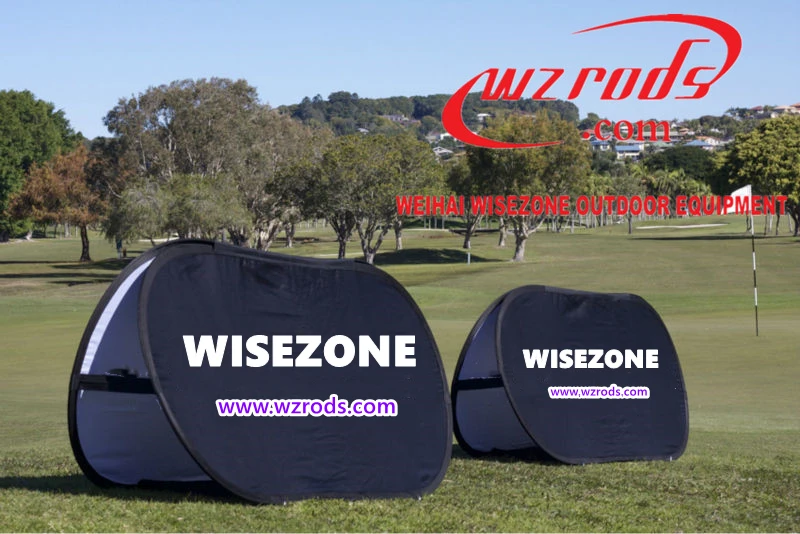 LexusSP pop up banner