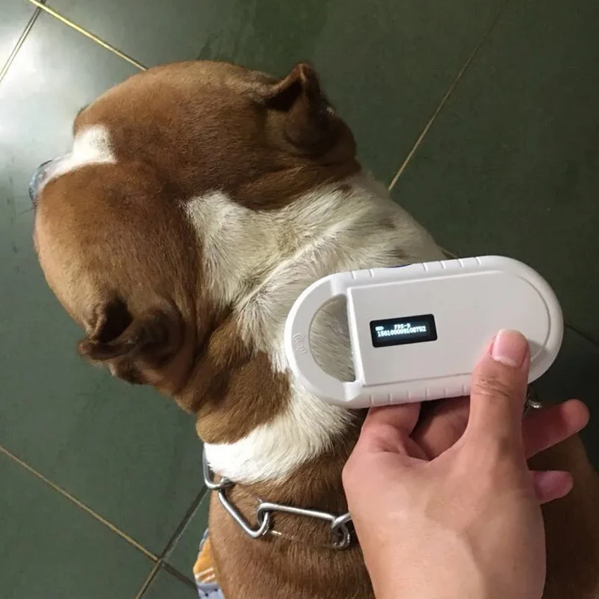 2024 ICAR 1.4x8mm microchips for animals with gps dogs