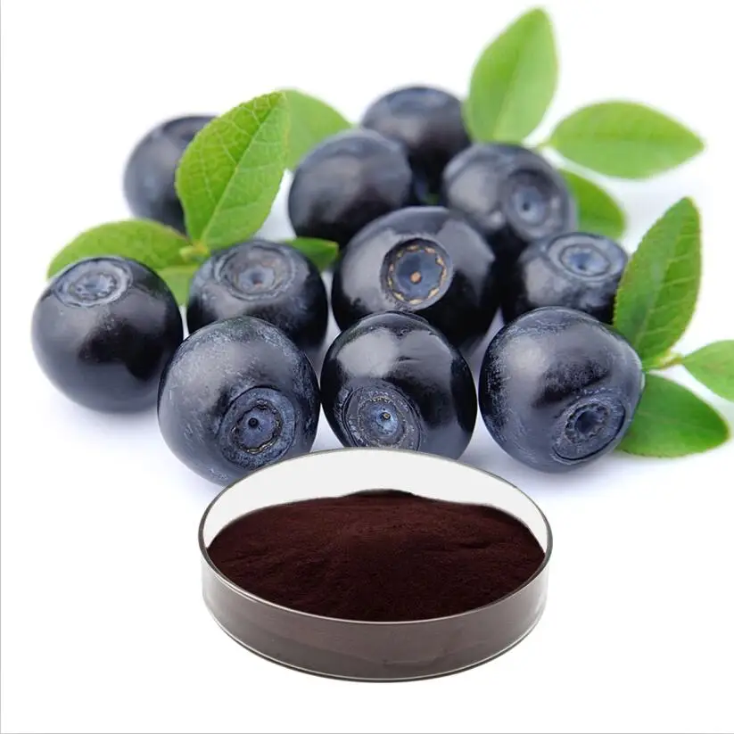 Pure Plant Extract Vaccinium Angustifolium 25% Anthocyanidins Blueberry Fruit Powder Extract