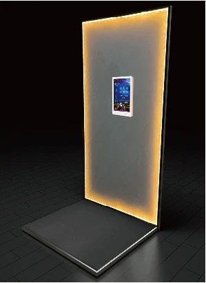 Give $800 cash coupon The most popular modern FUJI home elevator comfortable high stability 430kg stair lift.