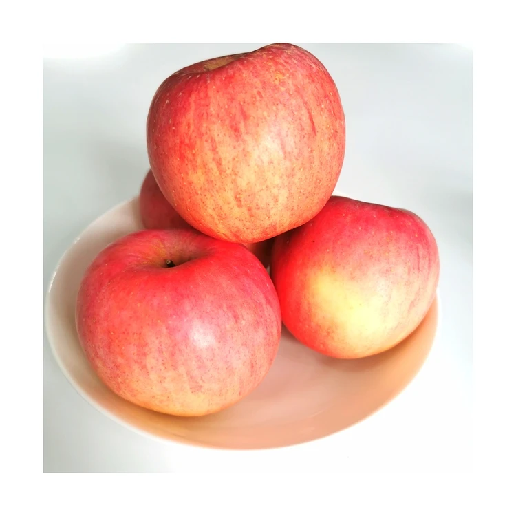 Best price of China manufacturer red fresh fuji apples