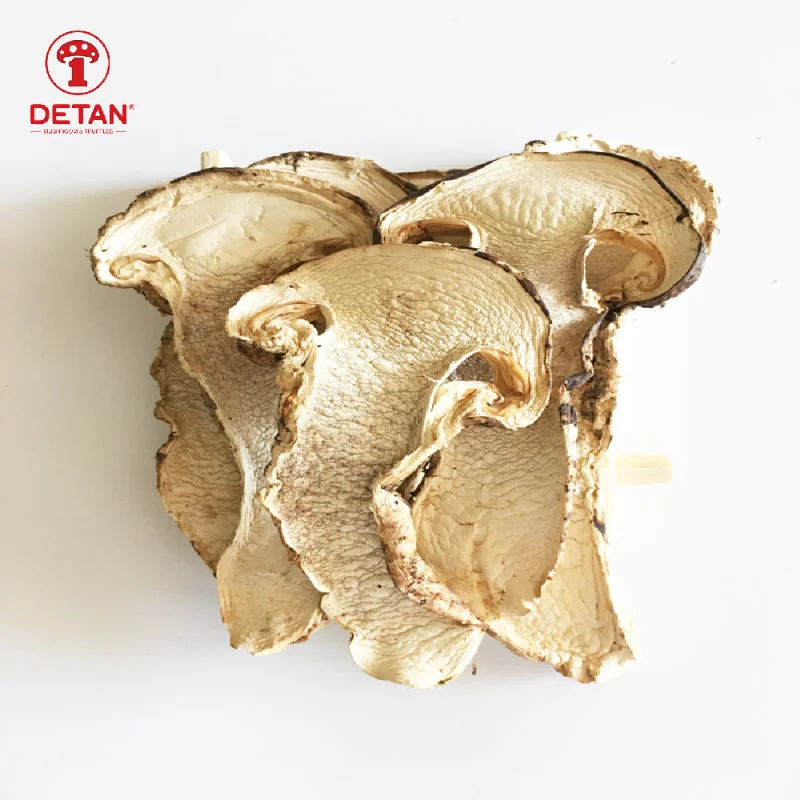 detan dried wild mushroom high quality wild matsutake mushroom 2-8cm