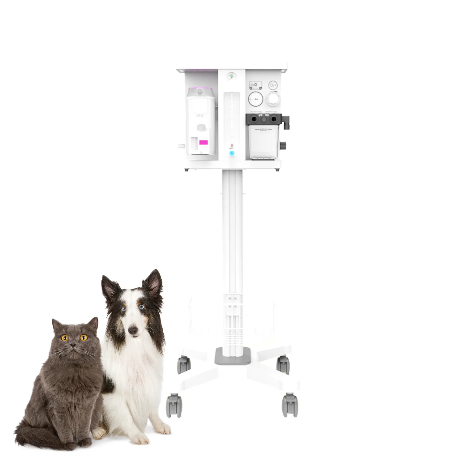 Vericare veterinary Anesthesia machine ANV-100 anesthesia vaporizer for animal hospital