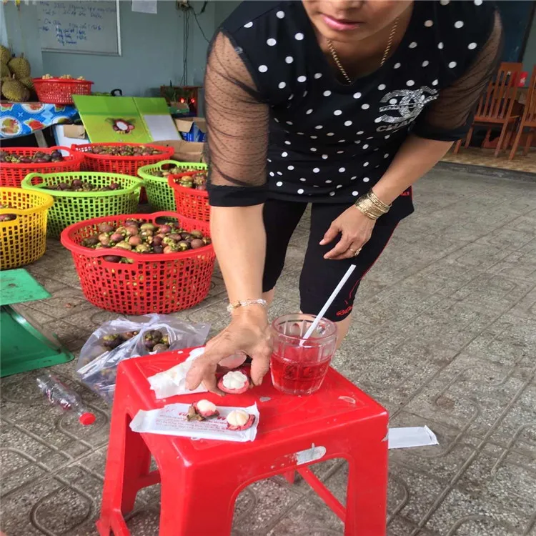 2019 Самый дешевый из мангостина для мужчин