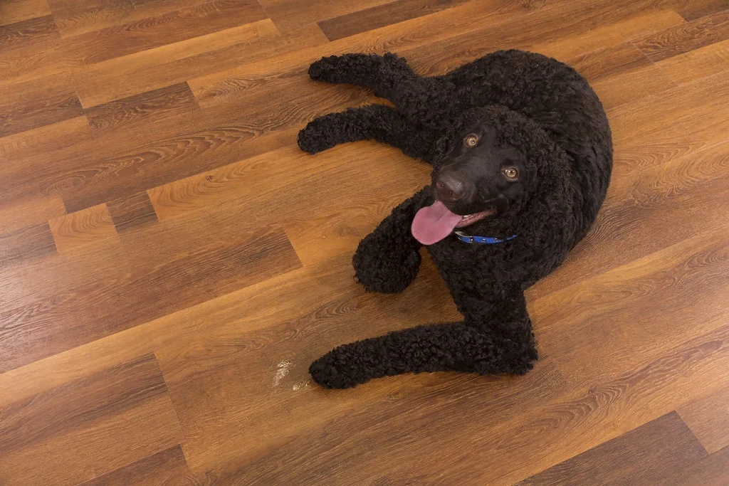 50 Year Residential Warranty Deep Embossed plank SPC flooring vinyl tile