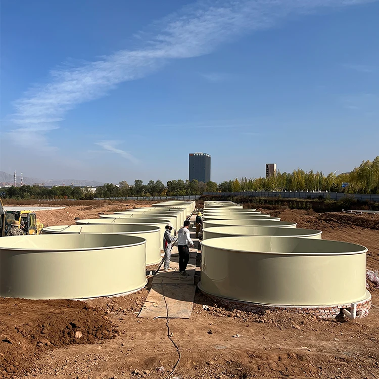 8000 Liter Diameter 3m x Height 1.2m Tank Fish Farming RAS Fish Tank