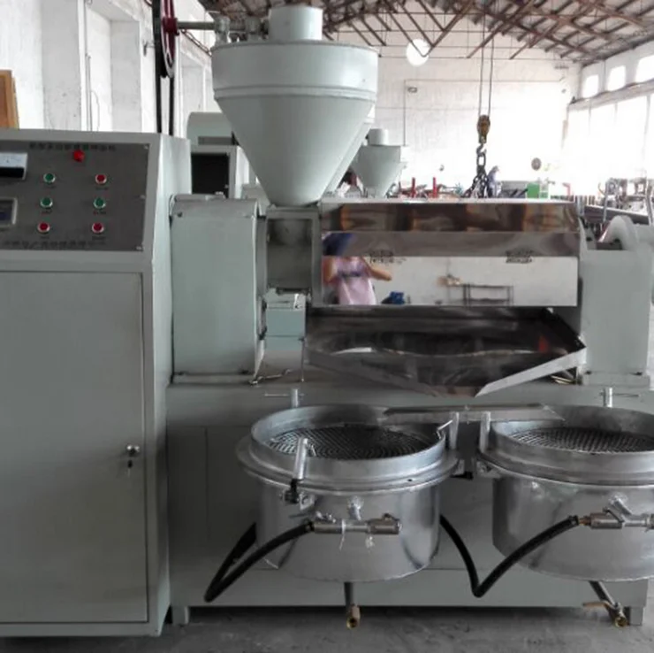 Automatic Sesame Almond Cashew Ginger Caster Plant Oil Extraction Press Machine