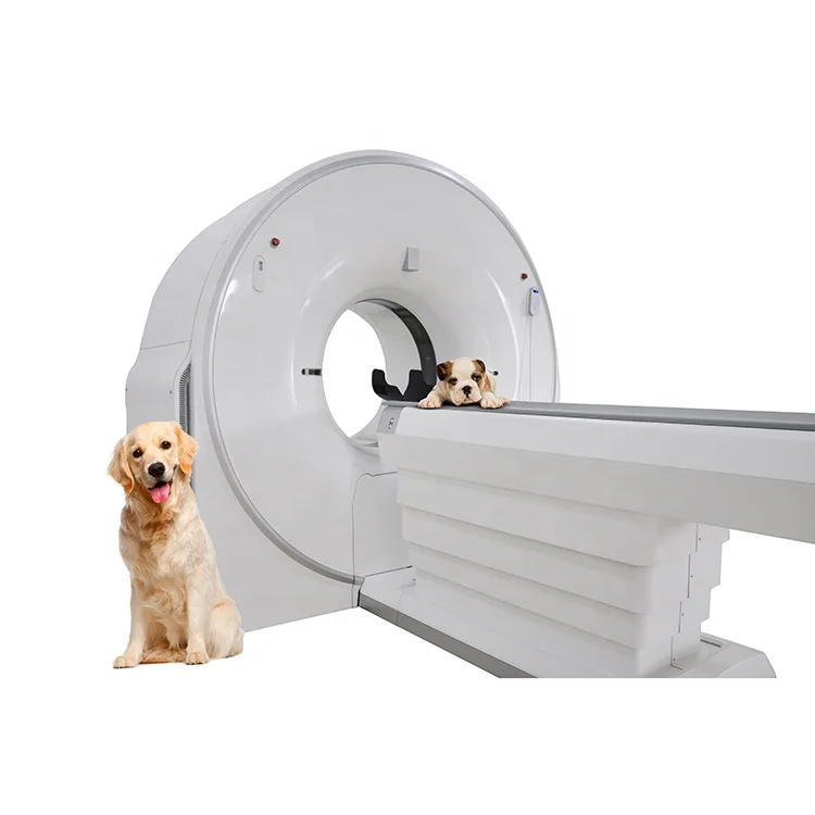 Ysenmed VET Radiology Equipment medical Animal ct-scan-machine Pet X Ray CT Scan Machine 16 32 Slice Veterinary ct-scan medical