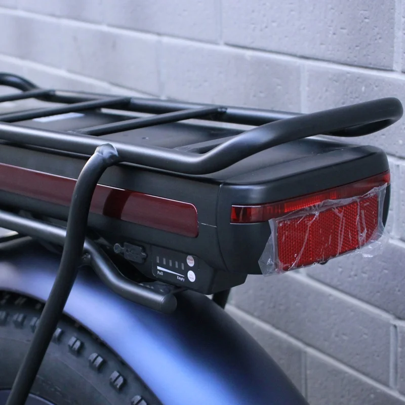 130Km Long Distance Riding 25Ah Dual Lithium Battery Ebike 20Inch 48 500W 750W 1000W Adult Folding Fat Tire Electric Bicycle