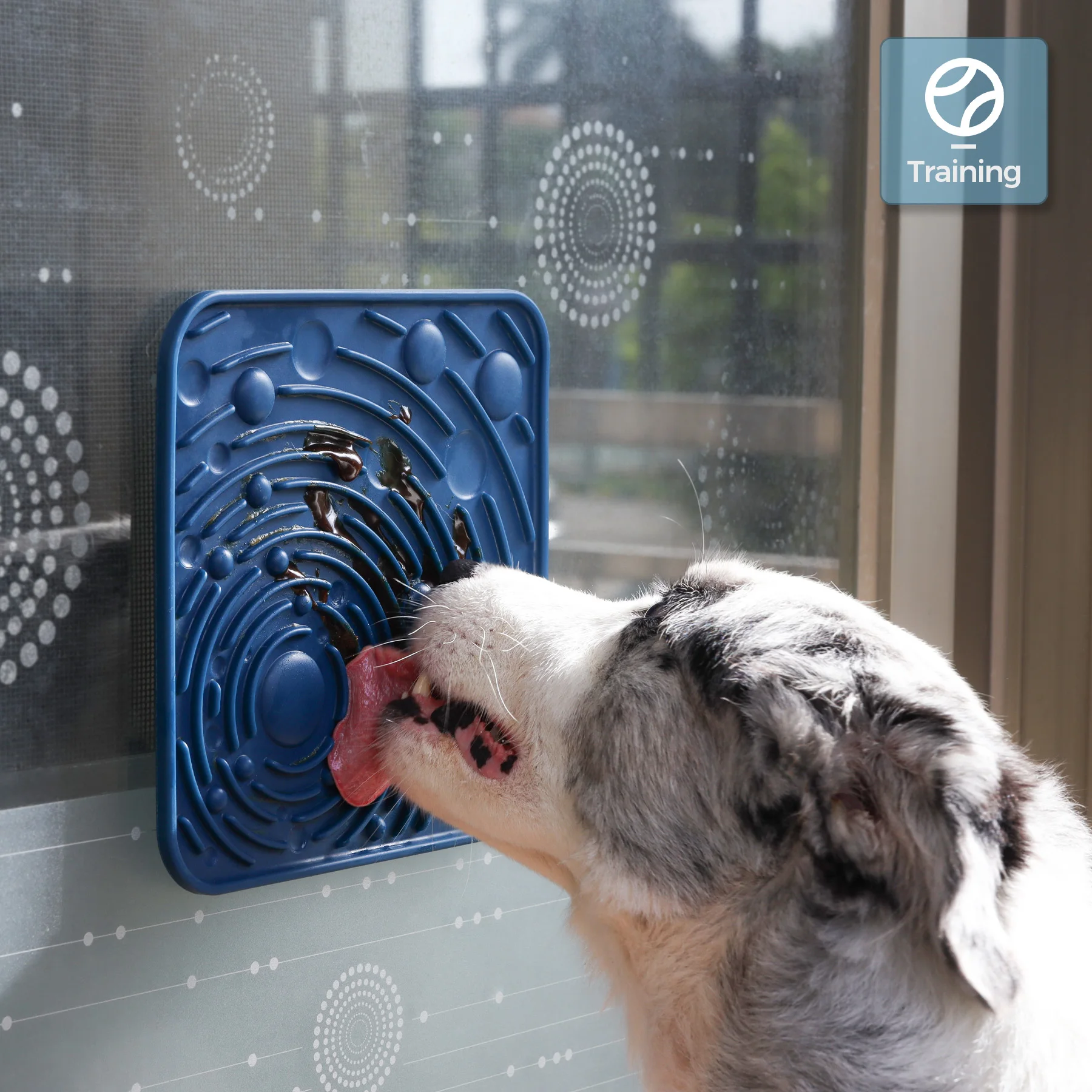 Food-grade silicone Dog Lick Pad Poop Bag Cat Pee Pads shampoo scissors Brush Mouth Cleaning Sets Grooming Sets